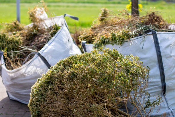 Best Shed Removal  in Rancho Mission Viejo, CA